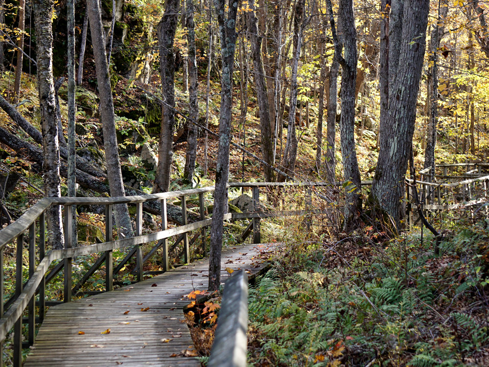 Best Provincial Parks For Hiking In Ontario