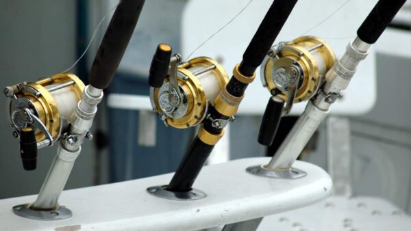 Three Rods in a Boat Rod Holder