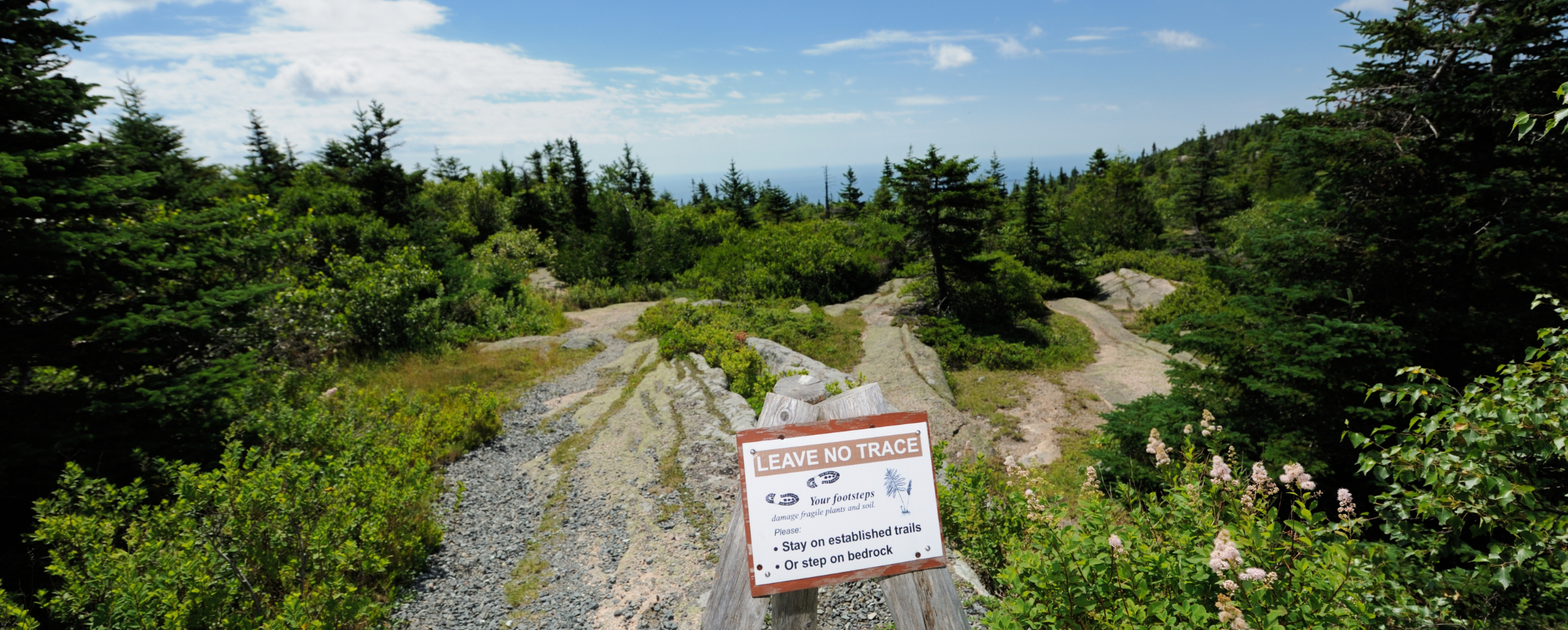 Leave No Trace vs. Social Media: The Debate Over Geotagging Outdoor Locations